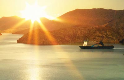 Vertaa ja varaa Bluebridge lippuja Picton ja Wellington AFerryn kanssa!